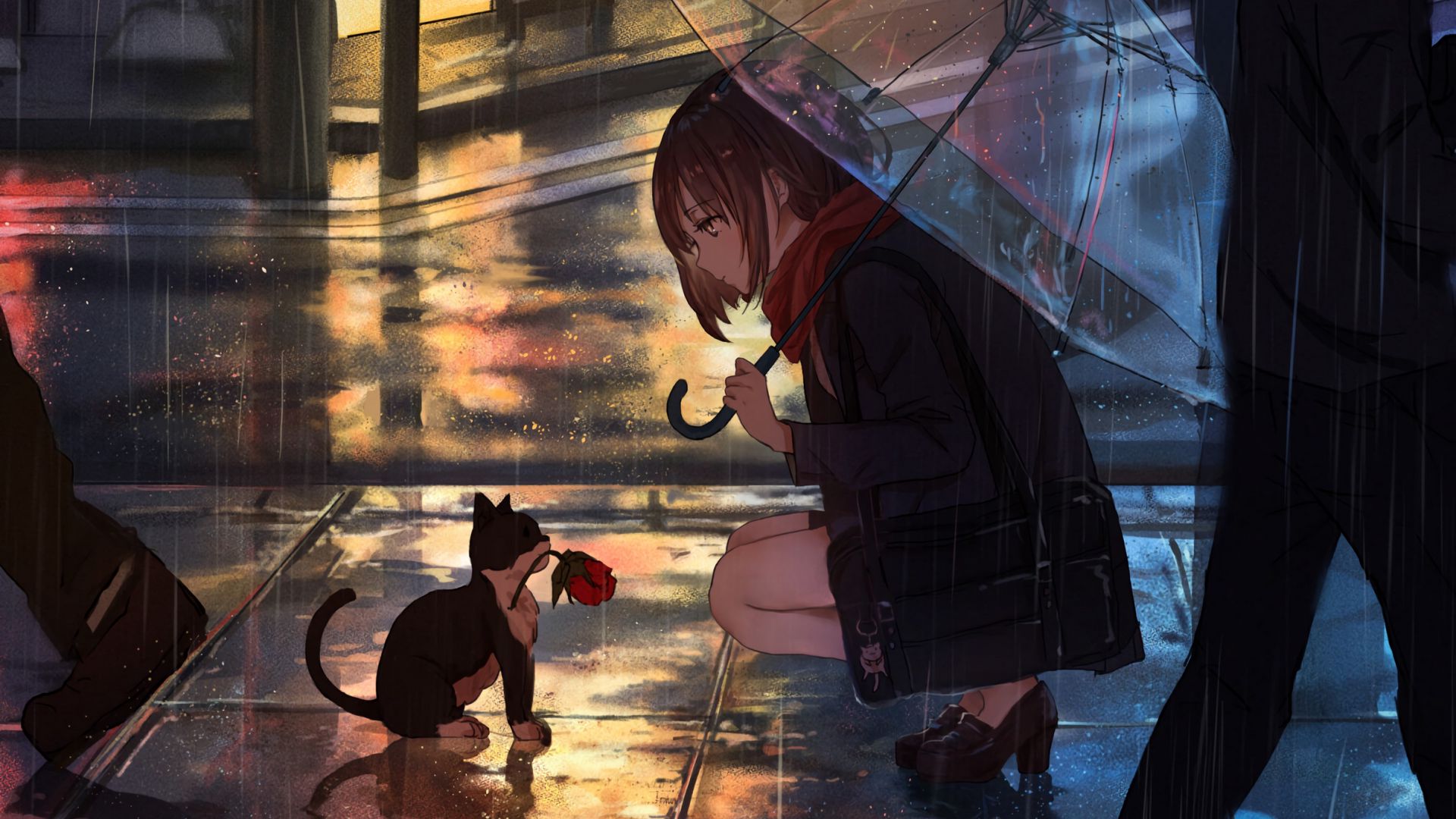 Featured image of post 